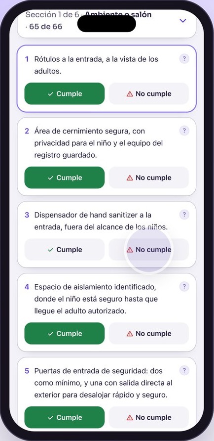 La inspección en el celular: cada pregunta con Cumple y No cumple